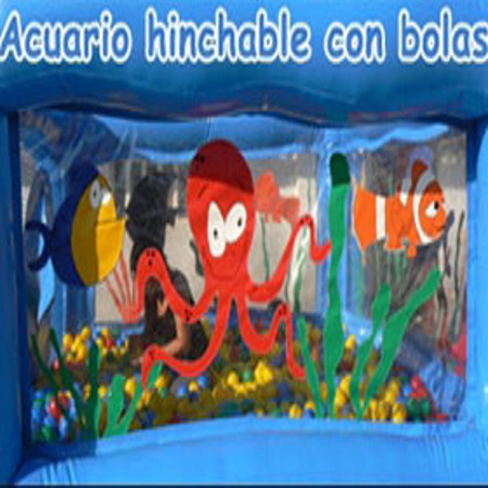 Portfolio Image 4