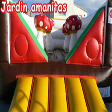 Portfolio Image 12
