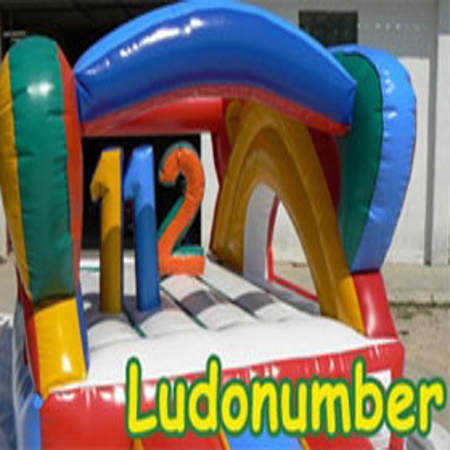 Portfolio Image 12