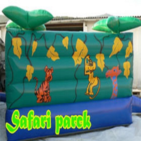 Portfolio Image 12